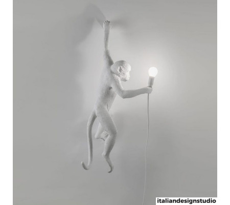 Monkey Lamp Hanging