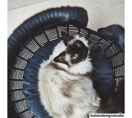 Perla